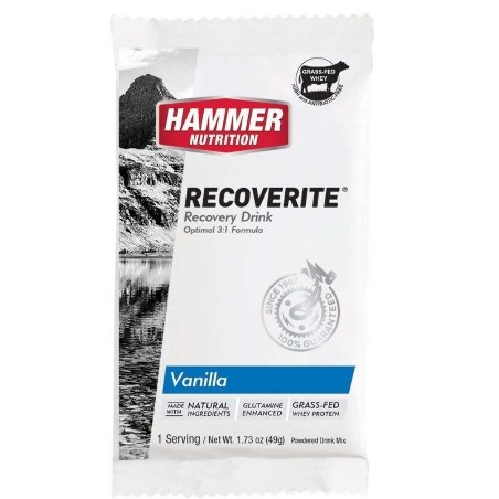 Recovery Hammer Recoverite